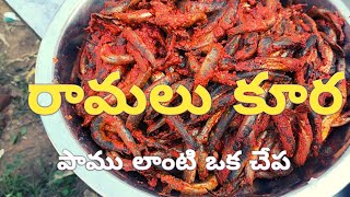 ll Snake Fish ll Ramalu koora ll పాము లాంటి ఒక చేప ll snake fish curry#fish #East godavari