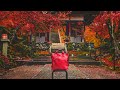 京都 東寺 紅葉 ライトアップ 4k カエデ・エリシア京都 caede l’elisir kyoto toji light up kyoto red leaves