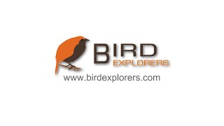 Bird Explorers image archive - fixing filenames with BASH and exiftool