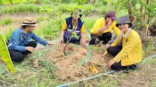 เอามื้อสามัคคี โคก หนอง นา แปลงคุณสำราญ มุงคุณ บ้านคำข่า ม.2 ต.นาตาล อ.เต่างอย จ.สกลนคร