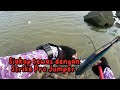 Ikan Cepat RESPONSE Dengan Lure STRIKE Pro Jumper..!! Casting Siakap@Barramundi