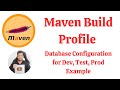 Maven Build Profile - Database Configuration for Dev, Test, Prod Example