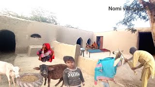 Poor People Life in Jhang Pakistan Village || Undiscovered Life in Punjab Village.