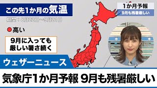 9月に入っても残暑が厳しい見込み(気象庁1か月予報)