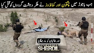 Battle of Bajurh || Operation  Operation Sher Dil || When Pashtun Help Pak Army