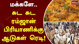 மக்களே..சுட சுட ரம்ஜான் பிரியாணிக்கு ஆடுகள் ரெடி..! | Biryani | SathiyamTv