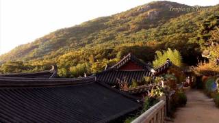 The Temple in Nature (full HD1080p) ; Temples of S.Korea