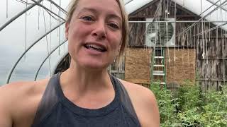 Attempting Veggies in GH 4 : Too Many Pots! Inventory : Flower Hill Farm