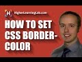 CSS Border Color Property For Beginners
