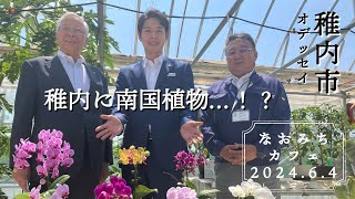 なおみちカフェ 稚内市 「オデッセイ」（令和６年６月４日）