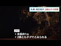 道路脇でクマ２頭を目撃　住宅街からわずか30メートル　体長約１メートルいずれも子グマか　札幌市南区