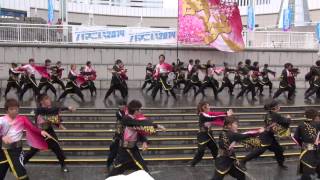 ハマこい２０１４－関東学院大学“誇咲”１