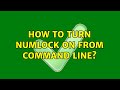 Ubuntu: How to turn numlock on from command line?