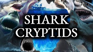 The Complete Shark Cryptids Iceberg Explained