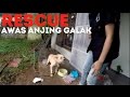 RESCUE: Begini Menjinakkan Anjing Galak