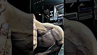 𝐀𝐭𝐭𝐫𝐚𝐜𝐭𝐢𝐯𝐞 veins😱😱 #fitness #bodybuilding #gym #workout #motivation #ytshort 𝐈𝐧𝐬𝐭𝐚