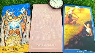 Bất Ngờ Đột Ngột Họ Thay Đổi Thái Độ Với Bạn 1 Cách Lạ Lắm / Tarot Reading