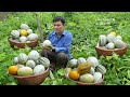 The latest melon crop of 2024 gave me a big harvest. Robert | Green forest life