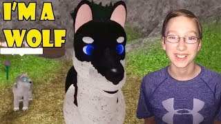 Roblox Wolves Life 3 V2 Beta New Wolf Model 15 Hd - female wolf idea wolves life 3 roblox youtube