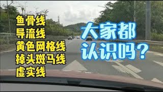 不懂马路上各种标线含义，一不小心就会被扣分罚款！赶紧来看看！