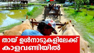 Sancharam | By Santhosh George Kulangara | Phuket 02 | Safari TV