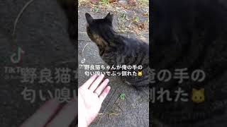 俺の手は倒れるほど臭かった