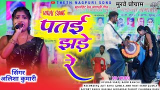 पतई झरे बेसो नी लागत रे//SINGER ALISHA KUMARI//NEW THETH NAGPURI SONG 2024