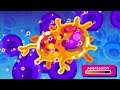 Tiny Bombs in your Blood - The Complement System