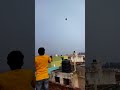 Kite flying | kite videos #nagindance #kitedance #kitelovers ankit kite flying | #kitefighting #kite