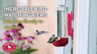 Perky-Pet® Window-Mount Glass Hummingbird Feeder | Benefits