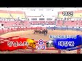 청도소싸움 19년 36회차 2일차 8경기 강남스타 vs 대장군