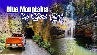 Blue Mountaion පැත්තේ රවුමක් දාමු | Glow Worm Tunnel | Empress Falls - Part 1