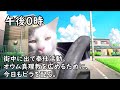 【猫ミーム】オウム真理教の信者の1日ルーティン