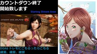 DOA6 こころまったり調べものと練習 実況配信 steam ver 2020/2/4