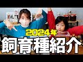 飼育種紹介！大型クワガタやカブトムシなど約20種をまとめて紹介！／昆虫飼育／ヘラクレス／ギラファ／スマトラ／ニジイロ／オオクワガタ／etc.