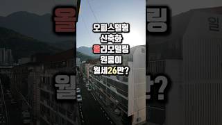 오피스텔형 신축화 올리모델링 원룸이 월세26만원(관포)? #구미 #집 #studio