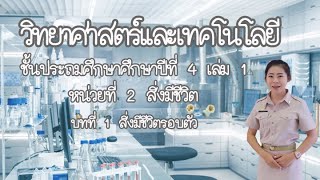 วิทยาศาสตร์ ป.4 I เฉลย กิจกรรมที่ 1.2 : เราจำแนกสัตว์ได้อย่างไร