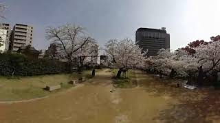 ある日の昼下がり【大分城址公園】