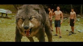 Jackob turn into werewolf- Twilight new moon| Hindi|