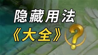 这么多隐藏用法你不会还不知道吧？【知哲王者百科】