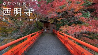 【京都の庭園】紅葉 西明寺｜Autumn leaves Saimyo-ji Temple【Kyoto Japanese Garden】