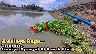 Ternyata Ngumpul Di Bawah Sini😱‼️ Mancing Di Spot Yang Belum Pernah Orang mancing