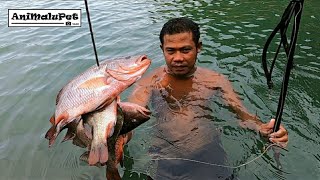 SPEARFISHING sa ilog Catch \