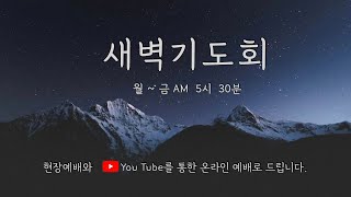 [ 전곡중앙교회 2025. 1. 2. 새벽예배] 창조주를 기억하라 (창세기 1;20~23)  백성국 담임목사