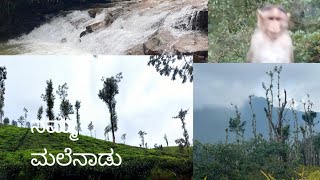 Beautiful place Karnataka chikmagalur| ನಮ್ಮ ಮಲೆನಾಡು ಚಿಕ್ಕಮಗಳೂರು.