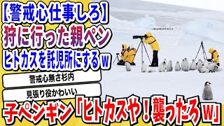 【2ch動物スレ】赤ちゃんペンギンさん「お！ヒトカスやんけ！襲ったろw」→親ペンギンさん、警戒心なさすぎてヒトカスを託児所にしてしまうwwwww【なんj/にちゃん 面白いスレ】