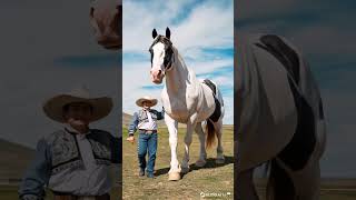 Caballo Gigante #musica #videosdivertidos