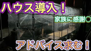 ビニールハウス導入しました！これで冬場もメダ活だ！？【メダカ飼育】