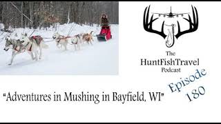 180 - Drive Your Own Dog Sled with Wolfsong Adventures in Mushing in Bayfield, Wisconsin