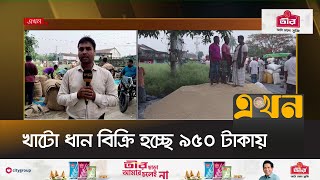 নওগাঁয় মণপ্রতি ধানের দাম বেড়েছে ২০-৪০ টাকা | Naogaon News | Paddy Price | Agriculture